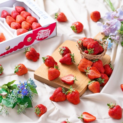 山口　竜が撮影した商品/物撮りの写真