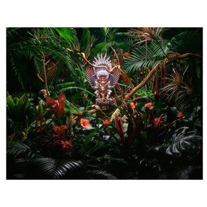 舩津　孝が撮影した「:albumName」の写真