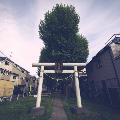 Sunstore 三條康貴が撮影したウェディングや家族、ビジネスの写真