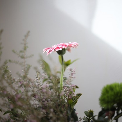 Natsukiが撮影した商品/物撮りの写真