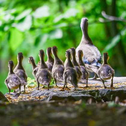 山口奈緒が撮影した「:albumName」の写真