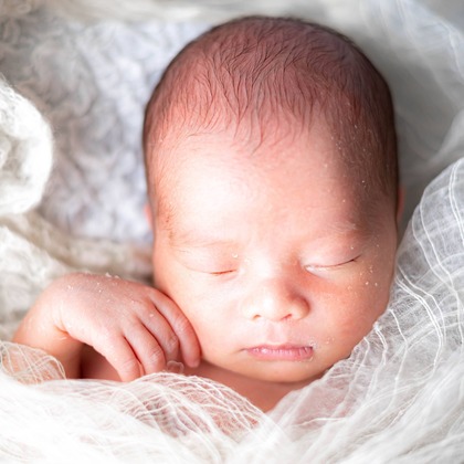 kudophotoが撮影したニューボーンフォト/家族写真の出張撮影の写真