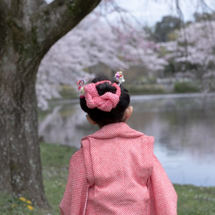 ミヤタカズコが撮影した「:albumName」の写真