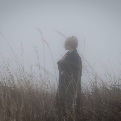 ならもとかずやが撮影した「:albumName」の写真