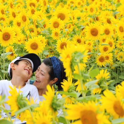 この写真は、出張撮影(家族写真(キッズ,ベビーフォト))のアルバム「家族写真、ロケーションフォト」にある写真の1枚で、家族写真(キッズ,ベビーフォト)などが写っています。<br>「家族写真、ロケーションフォト」では他にも:albumPhotoCount枚の家族写真を見ることができます。撮影者は稲蔭一道です。カメラマンのプロフィールページで、家族写真(キッズ,ベビーフォト)撮影の口コミやおすすめコメントを見ることができます。