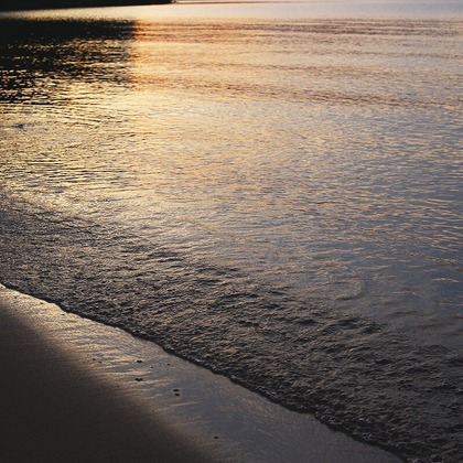 COAフォトが撮影したその他の写真