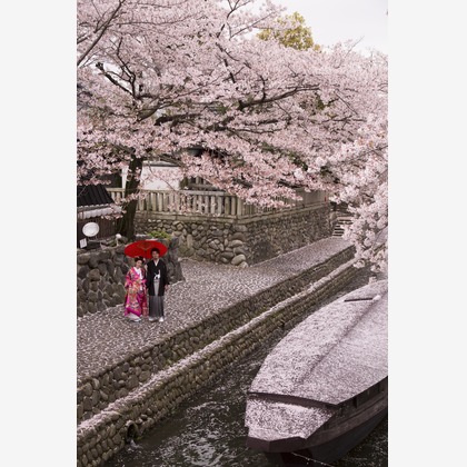 STUDIO NOUVEAU（スタジオ ヌーボ）が撮影したウェディングや家族、ビジネスの写真