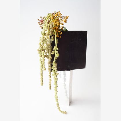 合同会社ENLIGHTENMENTが撮影した料理撮影/商品/物撮りの写真