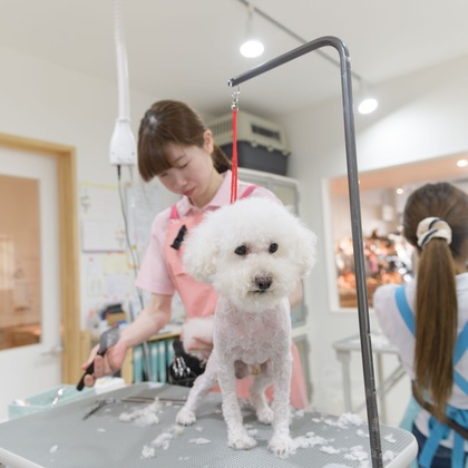 株式会社DAVINCI-Developmentが撮影した「:albumName」の写真