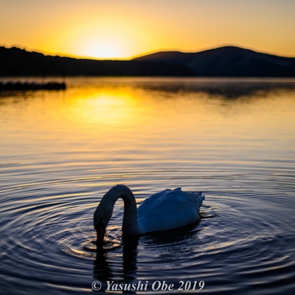 写真屋ごんちゃんが撮影した「過去写真」の写真