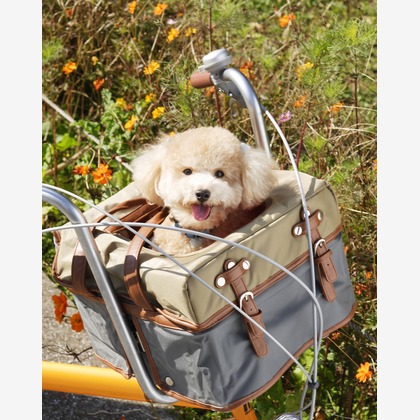 森安　照が撮影した「:albumName」の写真