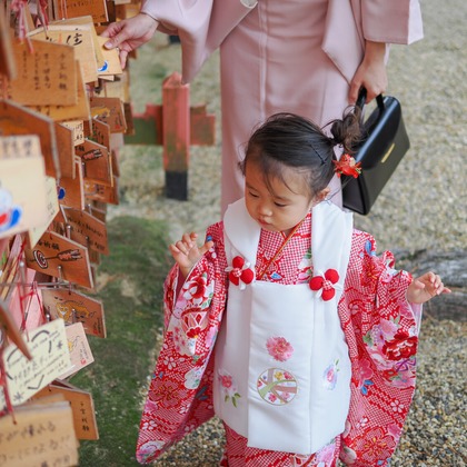 中村雅樹が撮影した「:albumName」の写真