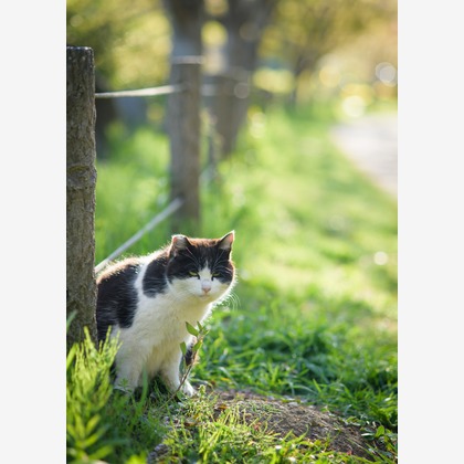 Studio Serowが撮影した「:albumName」の写真