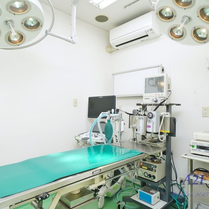 A2FT.jpフォトグラファーまつもとあきらが撮影したウェディングや家族、ビジネスの写真