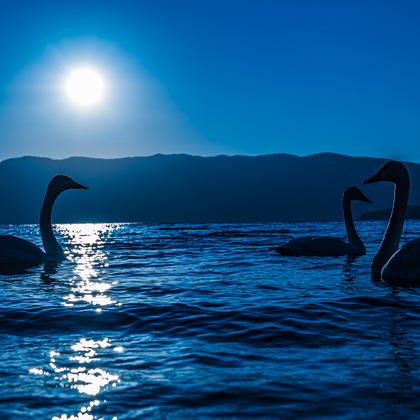 高木勇斗が撮影した「:albumName」の写真