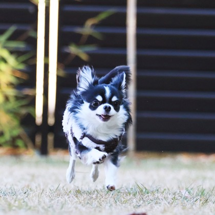 外川博己が撮影したその他の写真