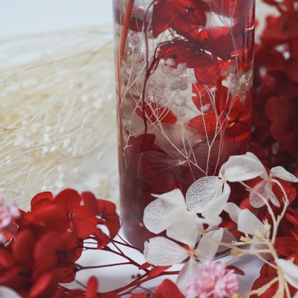 tkphotoが撮影した「:albumName」の写真