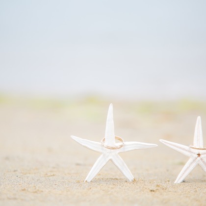 Photo of :albumName taken by Studio LDK