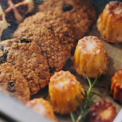 溝口拓が撮影した「:albumName」の写真