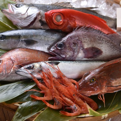 スタジオ　アクティビストが撮影した「:albumName」の写真