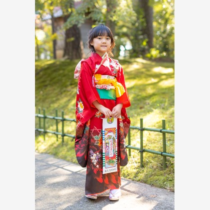 石井俊輔が撮影した「:albumName」の写真