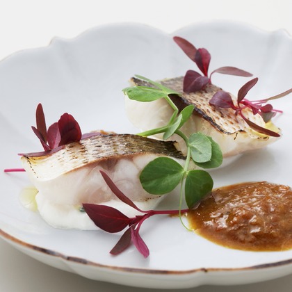 森安　照が撮影したウェディングや家族、ビジネスの写真