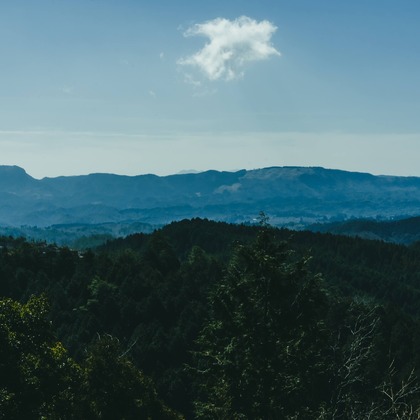 studio cactusが撮影した商品/物撮りの写真