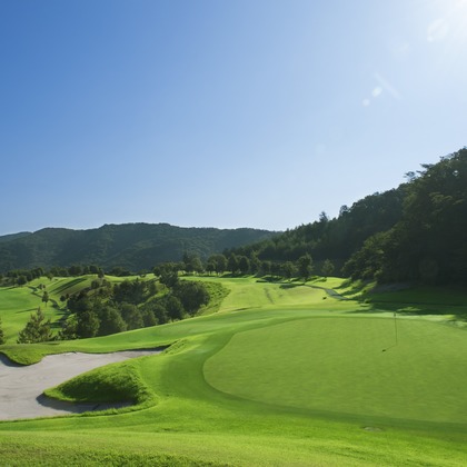 エイティーイメージズが撮影したその他の写真