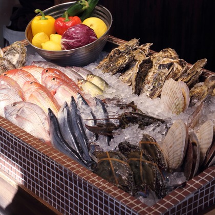 森安　照が撮影した「:albumName」の写真