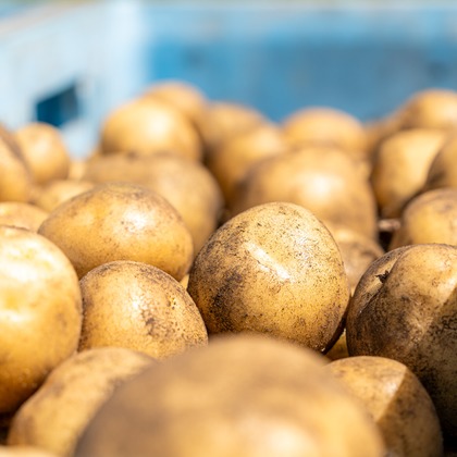 石橋宙大が撮影したウェディングや家族、ビジネスの写真