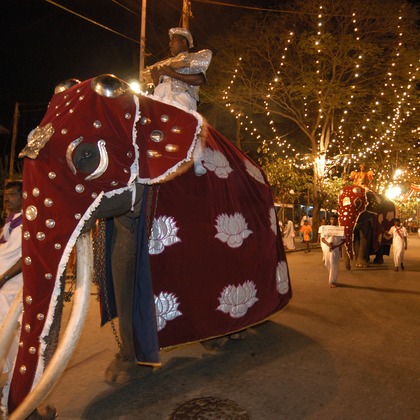 梶田　誠が撮影した「:albumName」の写真