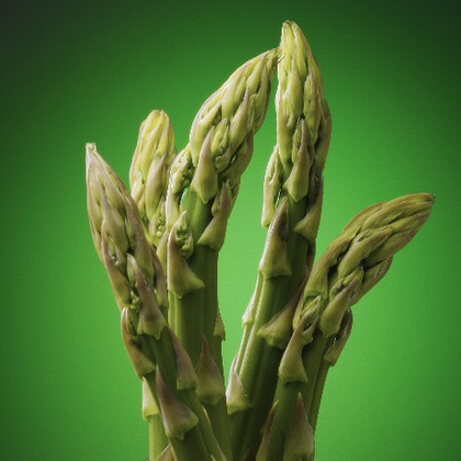 AONO STUDIOが撮影した「:albumName」の写真