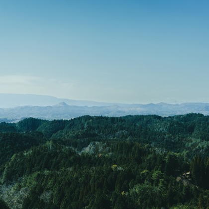 studio cactusが撮影した商品/物撮りの写真