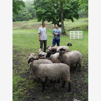 株式会社DAVINCI-Developmentが撮影したその他/イベント/スナップ撮影の写真