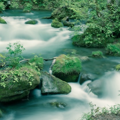 Create 4 Uが撮影した「:albumName」の写真