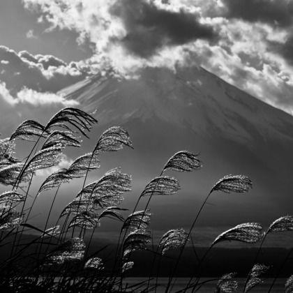 あまかど スタジオが撮影したその他の写真