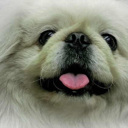 Efu's photographyが撮影した「:albumName」の写真