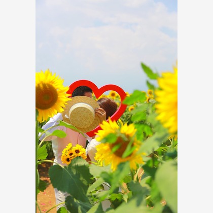 セリエドレッシングが撮影したウェディングや家族、ビジネスの写真