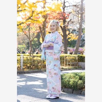 中村写真事務所が撮影した「:albumName」の写真