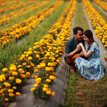 Padi Photograpahyが撮影したウェディングや家族、ビジネスの写真