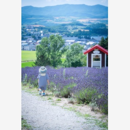 北海道ロケーションフォトウェディング♪が撮影した旅行先の記念撮影の写真