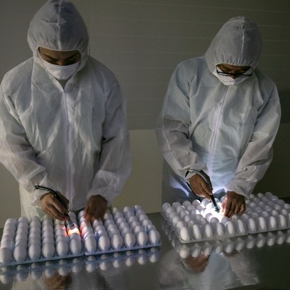 Creative Brand　Crows Nestが撮影した「:albumName」の写真