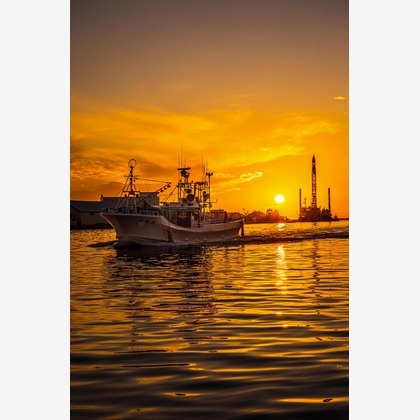 高木勇斗が撮影した「:albumName」の写真