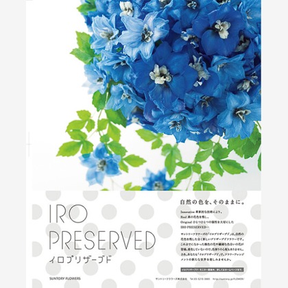 有限会社　澤田スタジオが撮影した「:albumName」の写真