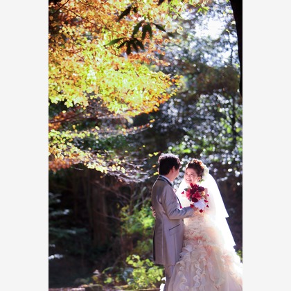 KIKIウェディングが撮影したウェディングや家族、ビジネスの写真