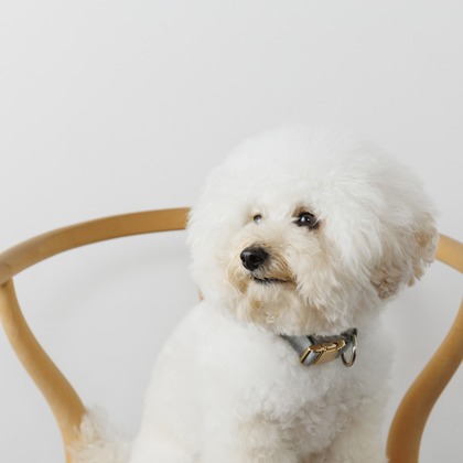 minephoto/大峯写真事務所が撮影した商品/物撮りの写真