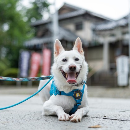 元木 ヒデが撮影した家族写真の出張撮影の写真