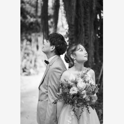 田中良正が撮影した「:albumName」の写真