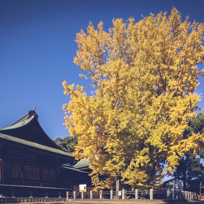 Sunstore 三條康貴が撮影したウェディングや家族、ビジネスの写真