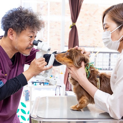 道海史佳が撮影した店舗/オフィス/サロン撮影の写真